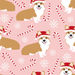 candy cane lane