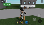 For dp