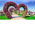 group heart