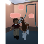 Horse/Gymnast Club