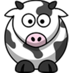 Cow fans <3
