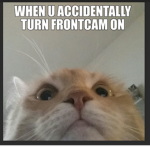erererererrerererfeytegyff