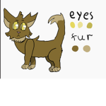 Fire clan (the clan of kits)