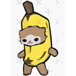 !.Banana cats fan group.!