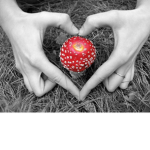 Mushroom Love