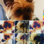 #we love Georgie