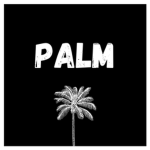 Palm Aesthetic