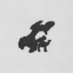CAMELUS Group Thumbnail