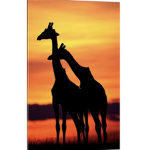 Giraffe for life army