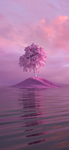 Lali’s MM2 Club