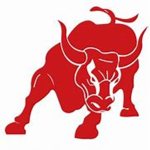 bull rp