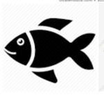 #FISH FOREVER !!!!