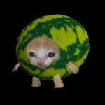 watermelon man's group