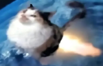 Super cat man