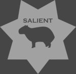 Salient Industries