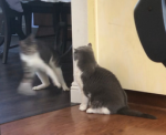 cutejackieboi's group