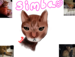 Kitty Crew!<3