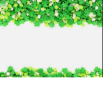 Pastel green or purple can join