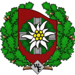 31ª División Infantería "WOLFS"