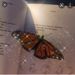 Littlecatipillers