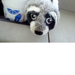 GOT MY EYES ON YOU obby