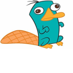 Perry the platapus