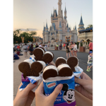 •Mis ositos•