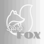 ~The Silver Fox~