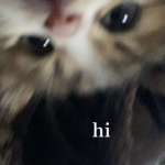 E X O N O W I F I