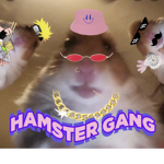 Hamster gang lolllllllllllllllllllllllllllllllllll