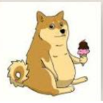Chubby doge Studios