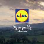 LidlStoreBlox