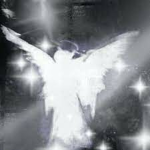Angels blessed