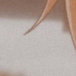 🌼