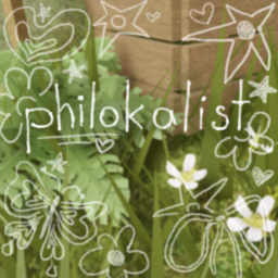 ˚♡ ⋆｡˚🕊️꒱ philokalist : ̗̀➛ homestore