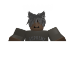 What is your username