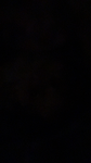 XS_FIREX