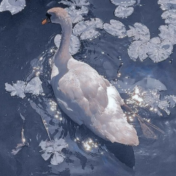 𝕥𝕖𝕝𝕝