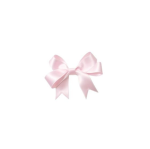 pink bowtique !