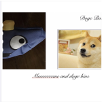 Meeeeeeeeme and Doge bios