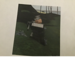 Roblox isle mercs
