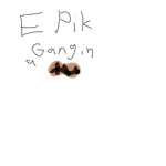 EPIK GANG IN A NUTSHELL