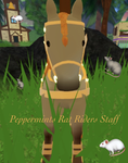 Peppermints Rat Riders Saff