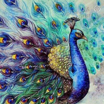 ~The Peacock Squad~