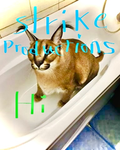 Strike & Floppa Productions