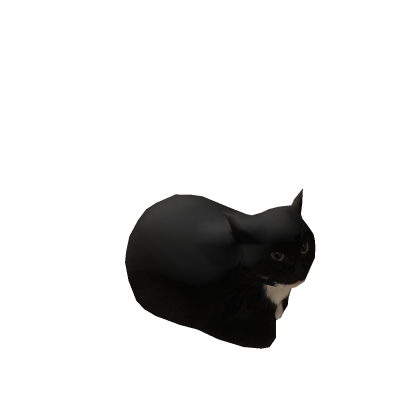 Злой кот
