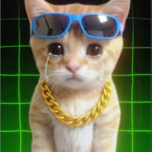 🐈 AY MI GATITO ELEVATOR 🐱 