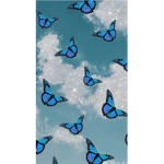 Itz_Bibi