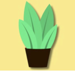 Dollar bush