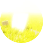 Darkness within the field of light.